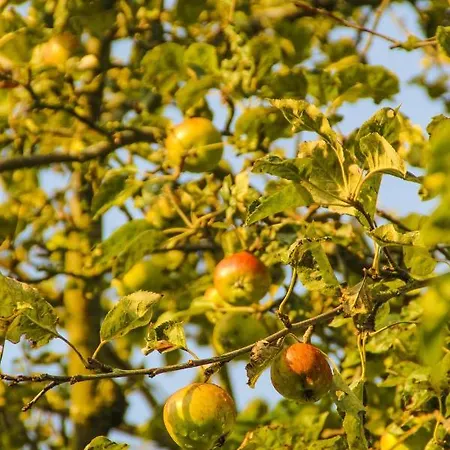 Gutshof Dubnitz Gutshof Dubnitz -ferienwohnung 5 